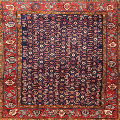 Oriental Indoor Rug