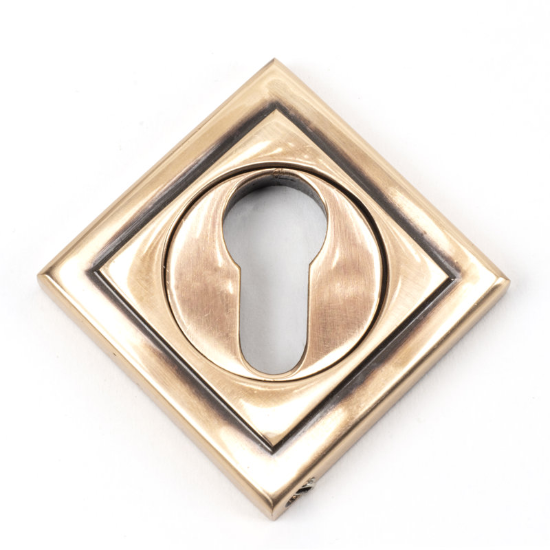 Euro Escutcheon Door Accessory, Polished Bronze