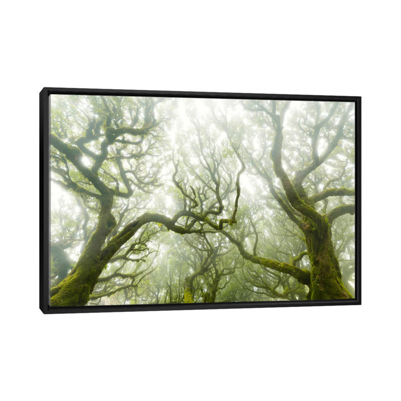 « green fire », reproduction de photo sur toile, H 18 po x l 26 po x P 1,5 po, Toile avec cadre noir, Pas de tapis