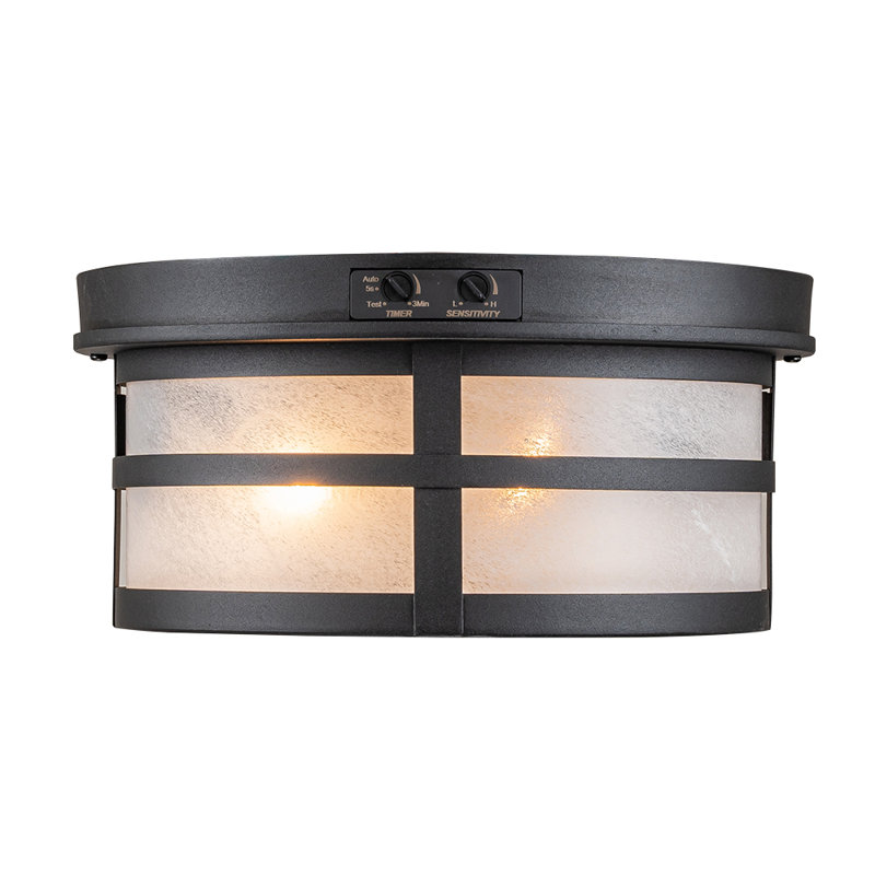 Matte Black 2 - Bulb Outdoor Flush Mount