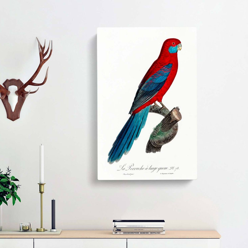 Crimson Rosella Parrot by F. Levaillant - Wrapped Canvas, 60cm H x 40cm W x 3cm D