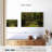 Sireci Spanish Moss-107846388