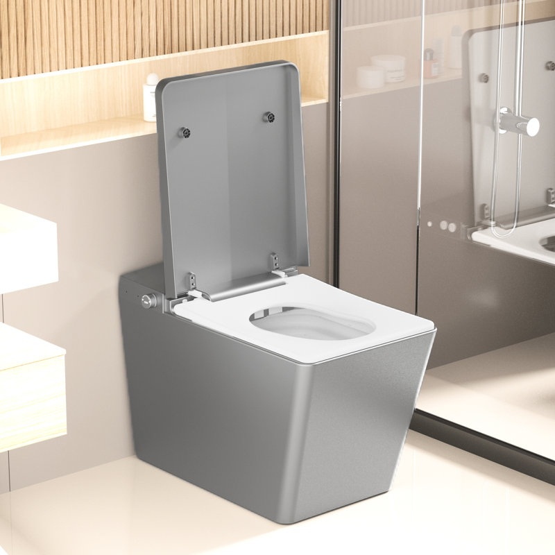 Bidet Toilet With Built - In Tank, Square Design, Remote Control, Auto Flush, Heated Seat, Wash, Matte Grey, Night Rear Feminine Grey
