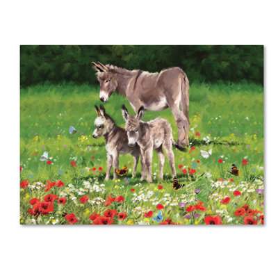 Armand 'Donkeys Landscape' Print on Canvas