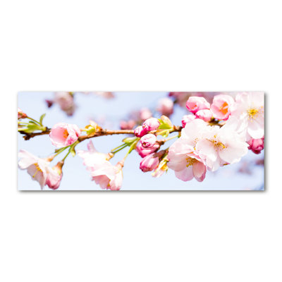 Cherry Blossoms - Wrapped Canvas Print