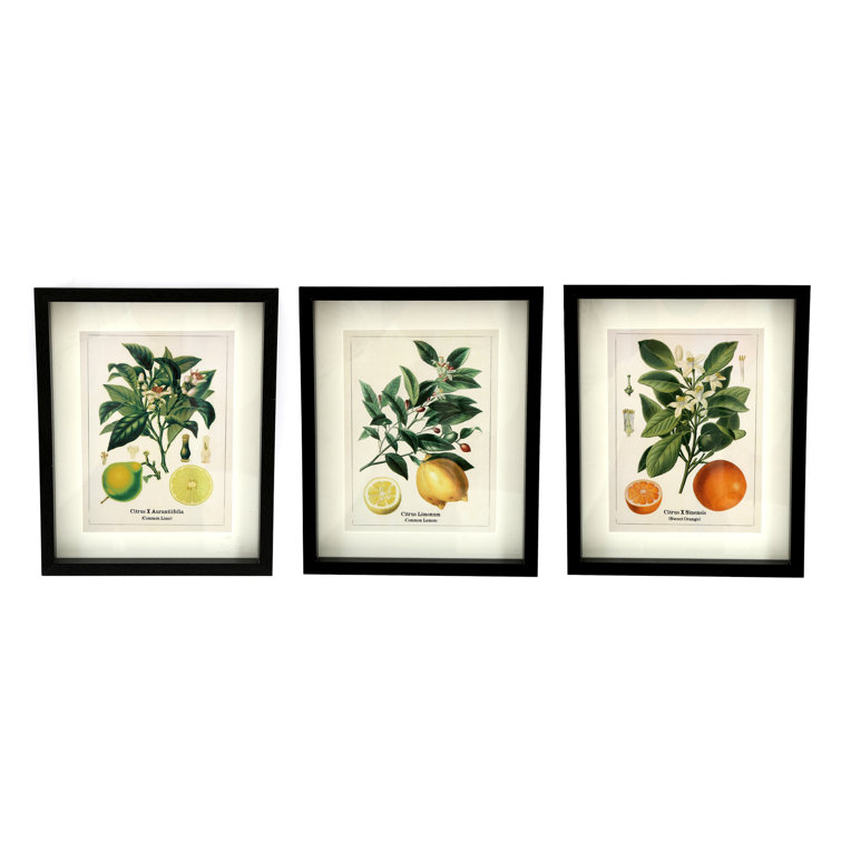 Three Citrus - 3 Piece Single Picture Frame Minimalistic Set
