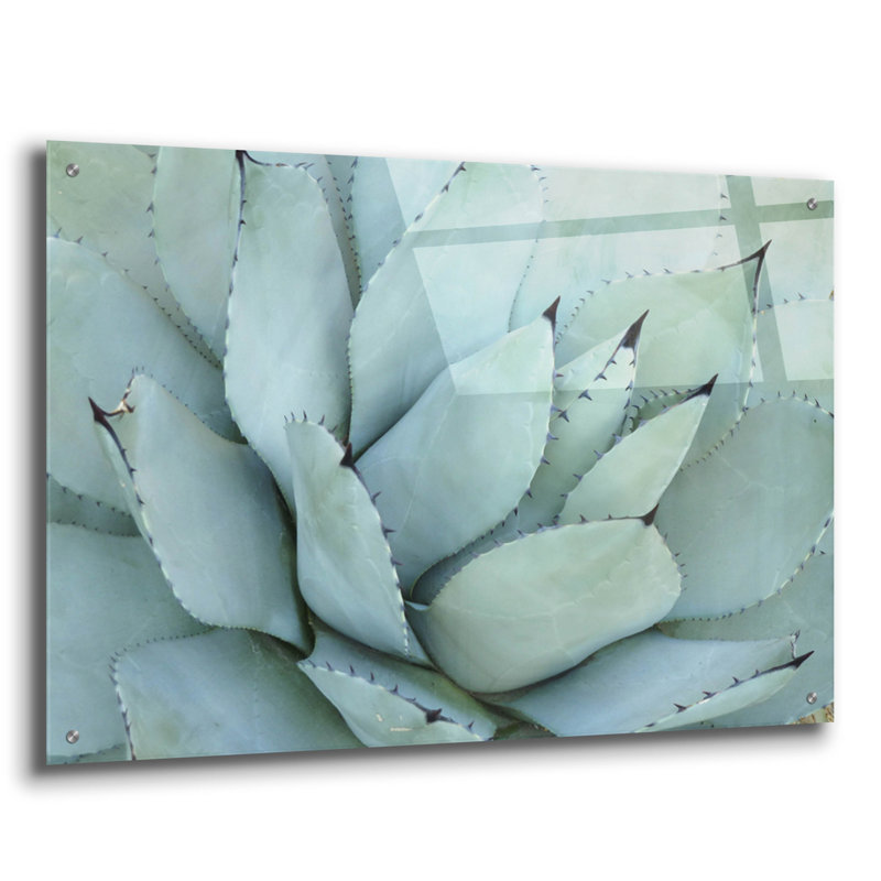 Art mural épique «Agave Détail 4» par Brittany Evans, 36 po x 24 po, H 24 po x l 36 po