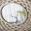 Miroir mural D31.3X2