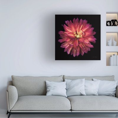 Bolog Debra Van Swearingen Dahlia III BW Canvas Wall Art