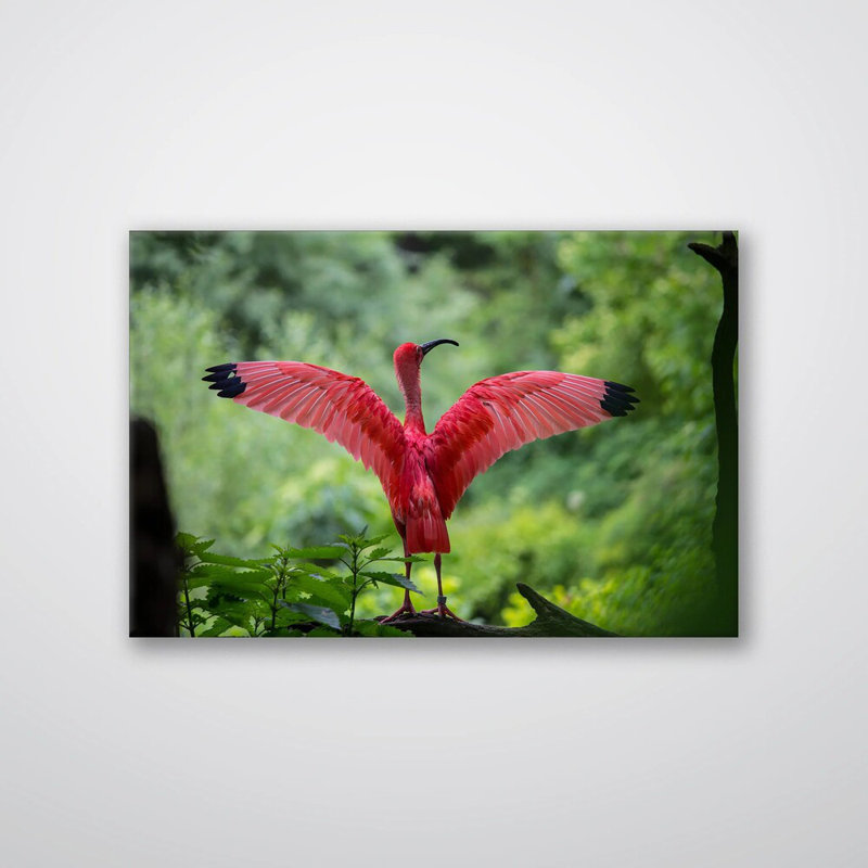 Pink Bird Print - Tropical Nature Wall Art - Flamingo Bird Canvas Poster - Soft Pink Wildlife Artwork - Coastal Tropical Decor - Serene Nature Wall Hanging - Modern Home Decoration Art Print
