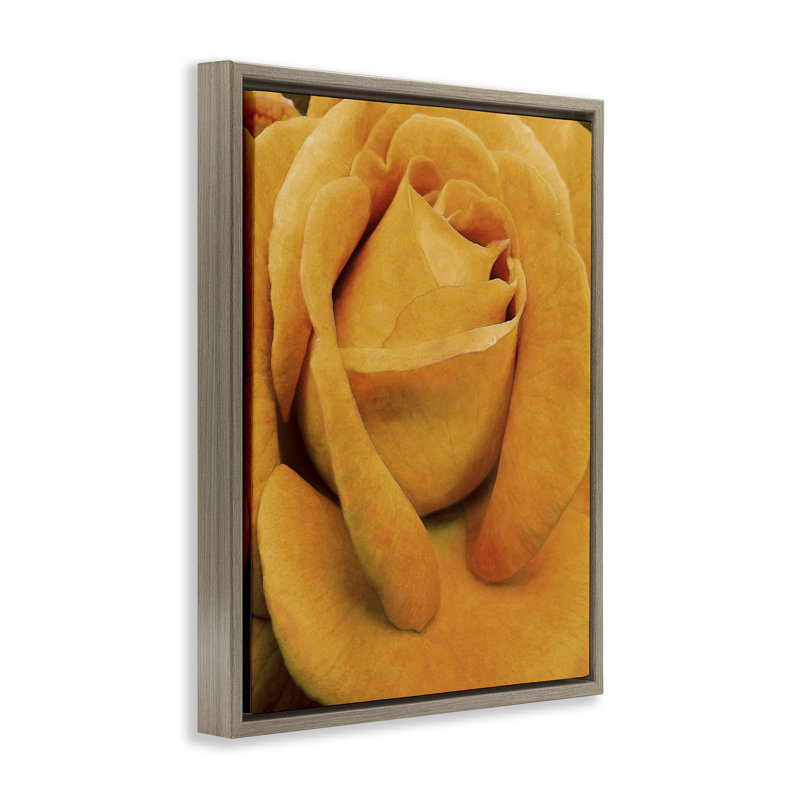 Art mural sur toile flottante encadrée «Yellow Yellow» par Alonzo Saunders, Cadre flottant orme Montalcino, H 21 po x l 17 po