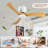 42-Inch Ceiling Fan Without light