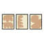 Component. Set Of 3 Print by Michael Kempen-1917445367-1917445366