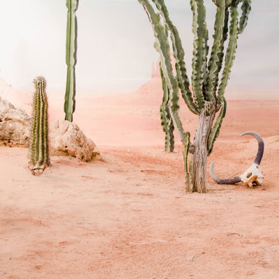 «Desert Peach» par Ingrid Beddoes - impression sur toile tendue
