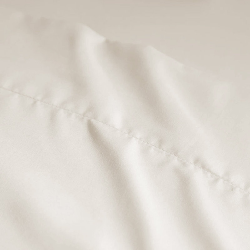 Wayfair Basics® 1800 Series Soft Microfiber Sheet Set, Queen Sheet Set with 2 Pillowcases, Coconut Milk