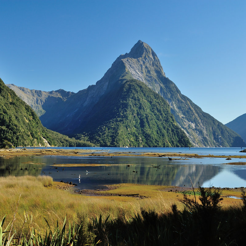 Milford Sound - Wrapped Canvas Print, 30cm H x 30cm W