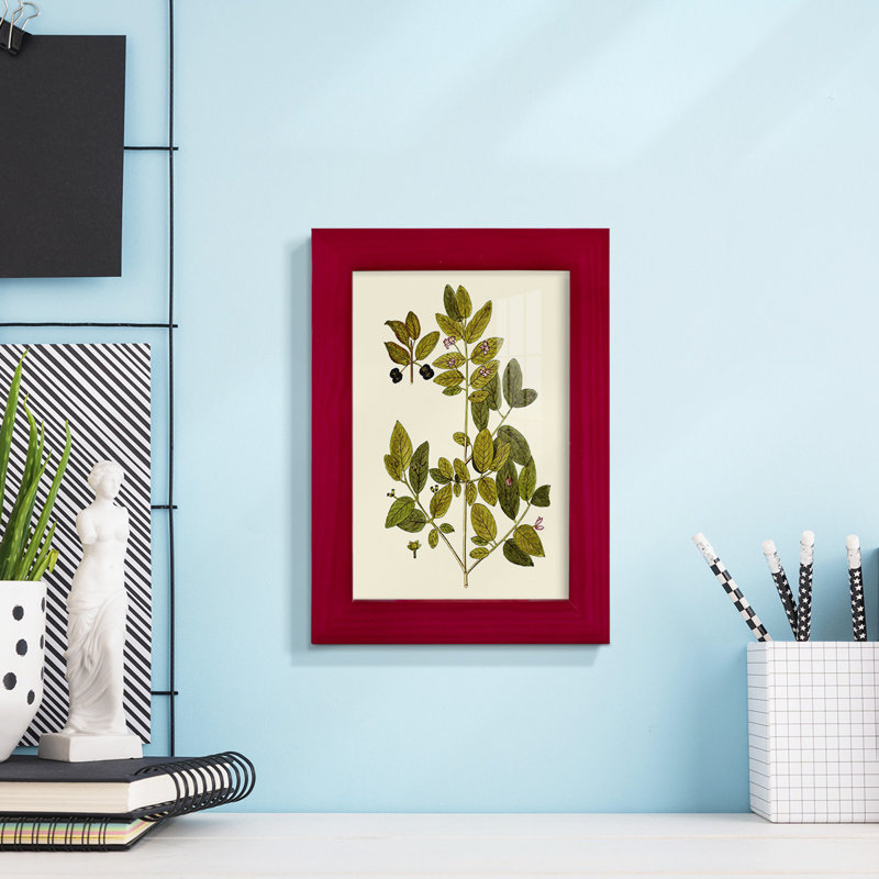 Olive Greenery VII, reproduction d'art encadrée, Rouge, H 6 po x l 4 po x P 1 po