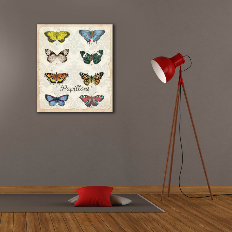  «Beautiful Papillon Study A» par Jean Plout, art mural sur toile, 26 po x 30 po, H 30 po x l 26 po