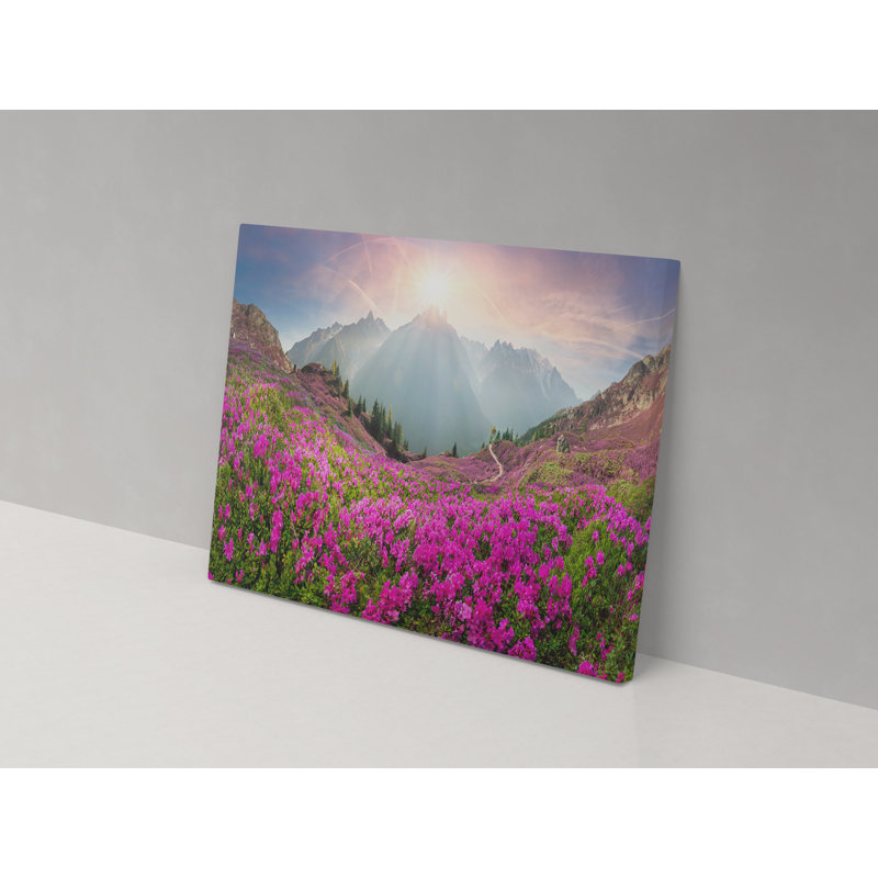 Canvas Collection Beauty On The Hillside - Wrapped Canvas Print, 67cm H x 102cm W x 4cm D
