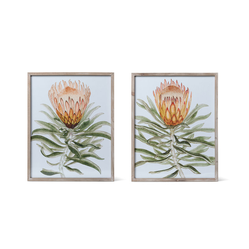 Protea, reproductions d'aquarelle sur bois