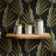 Areca Palm - Golden Black Wallpaper