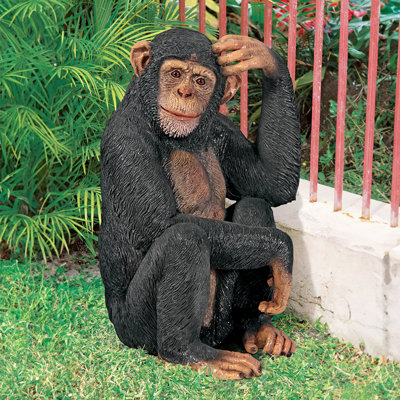 Chauncey the Confused Chimp Garden Monkey Statue