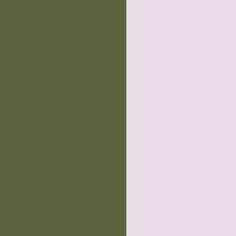 Jolien 16.5' L x 20.5" W Peel and Stick Wallpaper Roll, Olive Green