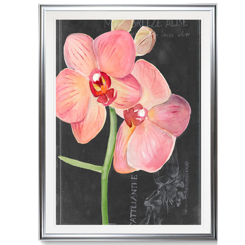 «Chalkboard Flower I», reproduction, H 36 po x l 26 po x P 1,5 po, Cadre argenté