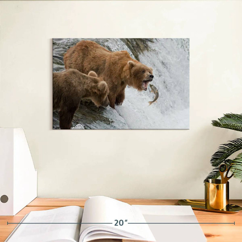 Ours bruns grizzlis chassant des poissons, H 8 po x l 12 po