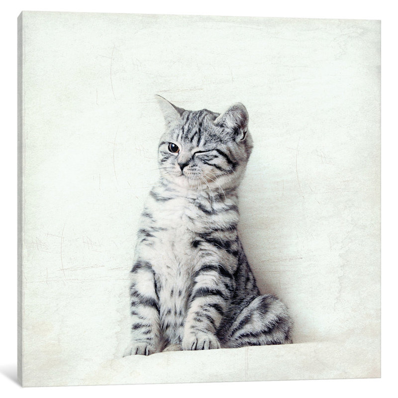 Art sur toile clin d’œil chat, H 12 po x l 12 po x P 0,75 po, Non mat, Toile tendue