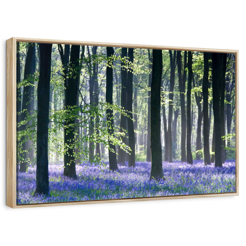 Bluebell Vision, Cadre flottant en bois naturel, 37 po x 25 po