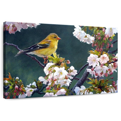 Female Goldfinch And Blossoms