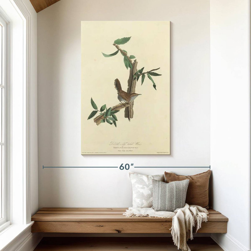 Keiri Bewick's Wren, 48" H x 32" W