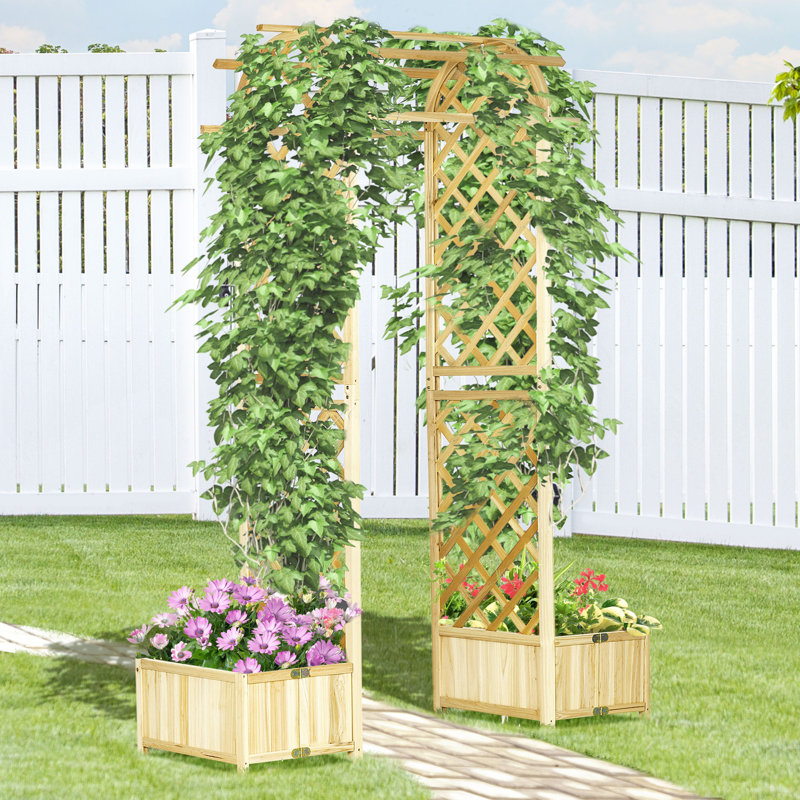 Tonnelle de jardin pour plantes grimpantes et treillis