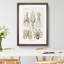 Octopus and Squid by Ernst Haeckel - Picture Frame Painting-62760030-62760029