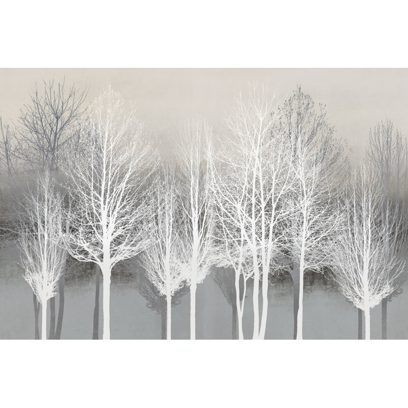 Grey Treeline by Kate Bennett - Wrapped Canvas Print,  81cm H  x 122cm W 