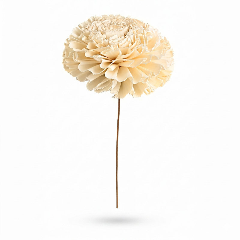 Shola Marigold