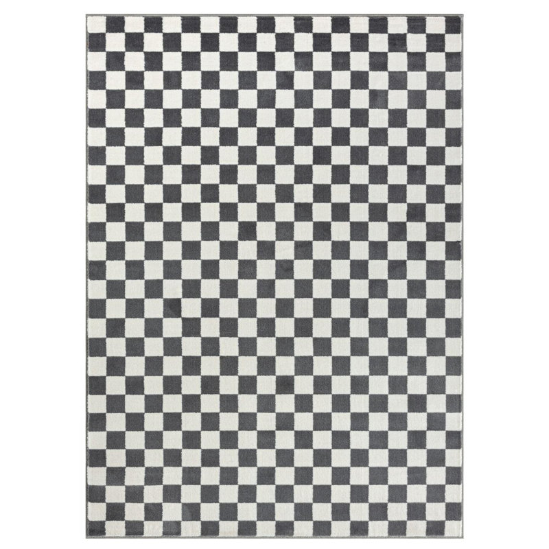 Checkered Indoor Rug, Rectangle 5' x 7'