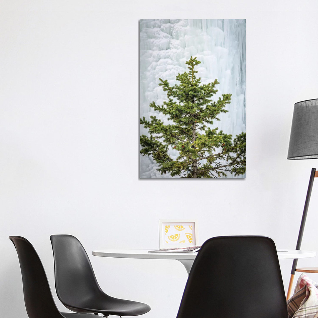 Pine at the Frozen Waterfall by Nik Rave - Wrapped Canvas Giclée