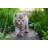 Rockmart Plastic Pet Barrier