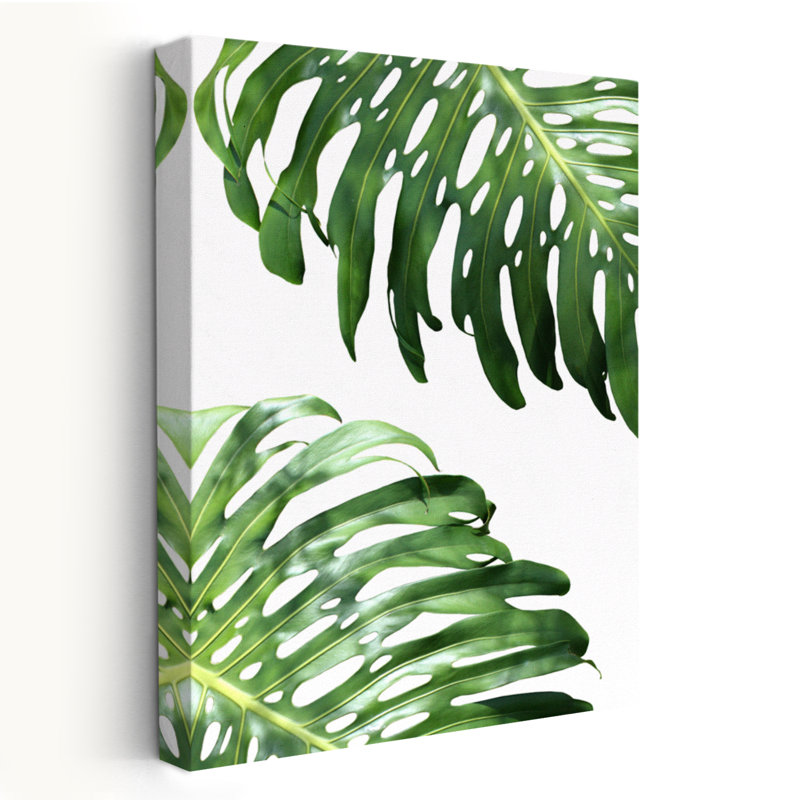 Double Philodendron (couleur) - floral, nature morte, photographie d'art, feuilles, H 24 po x l 16 po