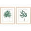 Presse-plantes S / 2