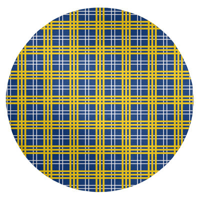 Plaid Indoor Rug