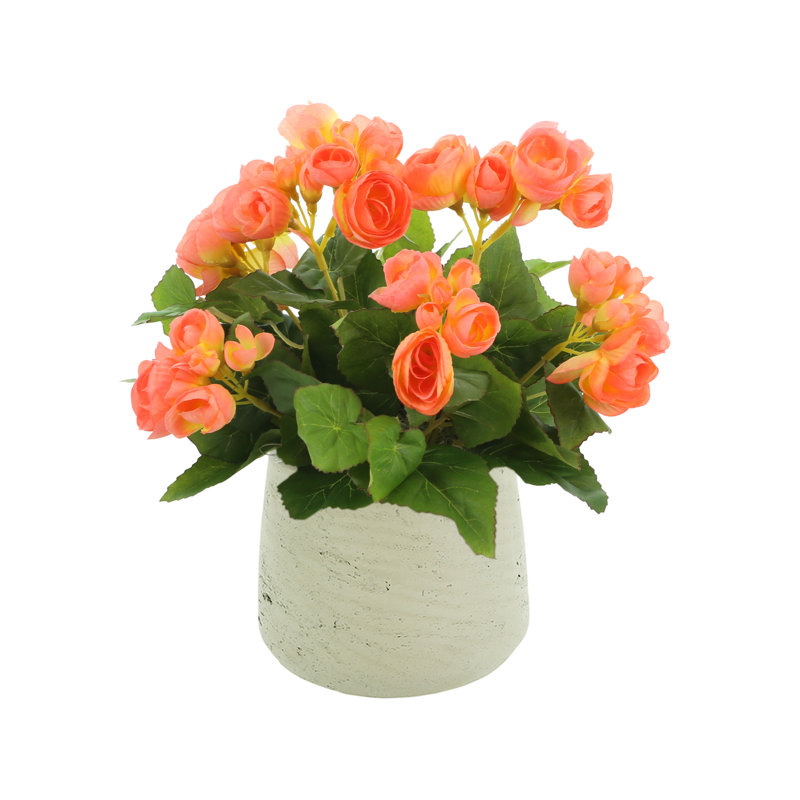 Begonia Floral Arrangement, Beige, Orange