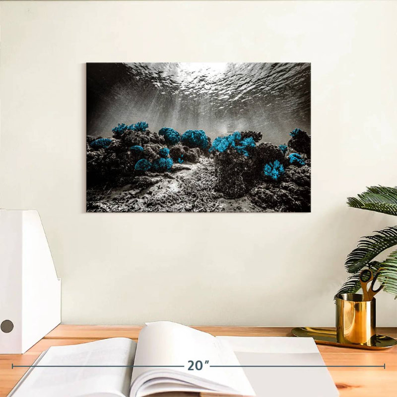 Brampt Indonesian Coral Reefs Pop, 8" H x 12" W