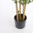 150cm Bamboo Tree in Pot