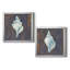 «Weathered Shell I», ensemble de 2 reproductions d'art encadrées-203266370-203266369-203266366