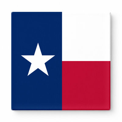Texas State Flag — Square Canvas Wall Art