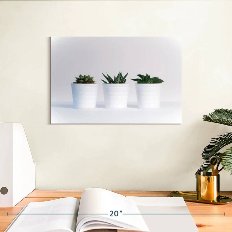 Harnek Three Succulents, H 8 po x l 12 po