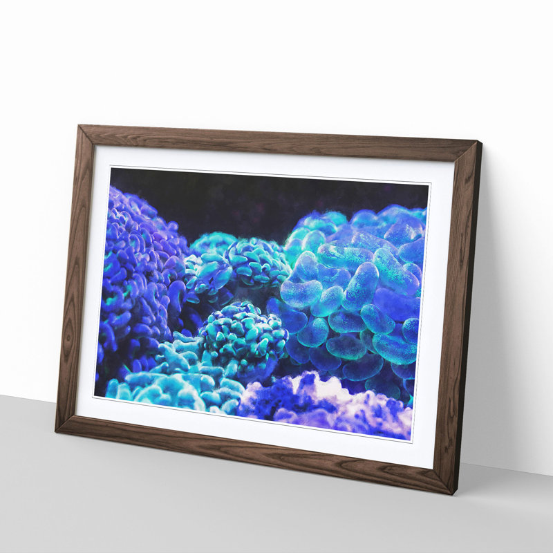 Neon Coral - Picture Frame Graphic Art Print, 33cm H x 45cm W x 2cm D, Walnut Framed